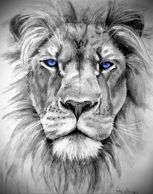 Рисунки король лев (игры) | ВКонтакте