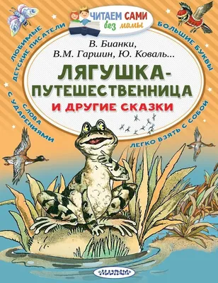 Лягушка-путешественница во времени, Ерошенко Анна – скачать книгу fb2,  epub, pdf на ЛитРес