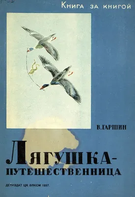 Лягушка-путешественница (1965) — Фильм.ру