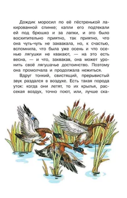 Лягушка-путешественница Сказка-раскраска с наклейками купить по цене 60 р.