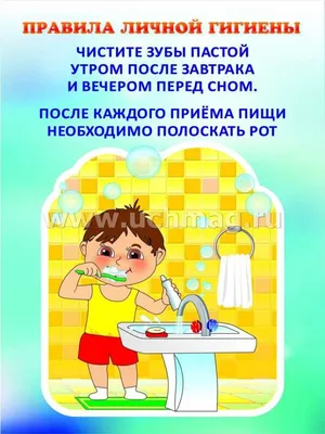 Личная гигиена персоны иллюстрация вектора. иллюстрации насчитывающей  головка - 77732154