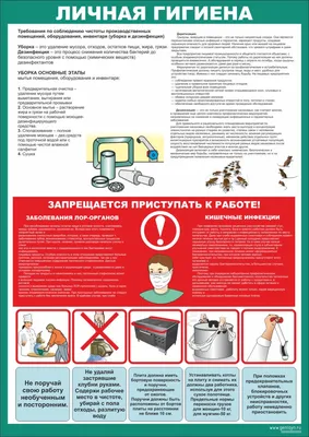 Личная гигиена работников пищевого предприятия комплект из 2 плакатов