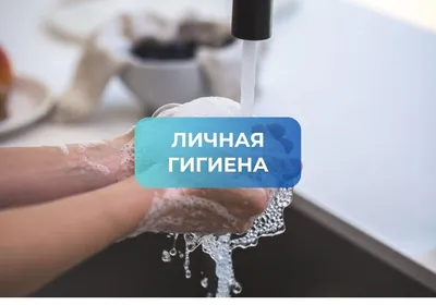 Личная гигиена в походе.
