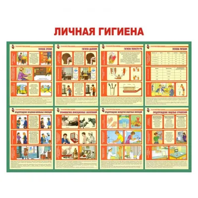 Гигиена и санитария на пищевом производстве – общие требования