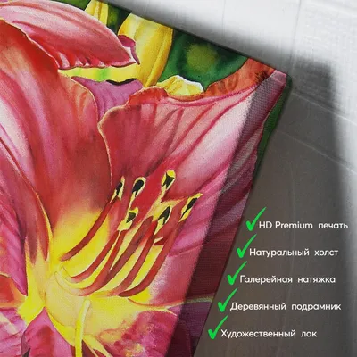 HD качество, фотореалистично, …» — создано в Шедевруме