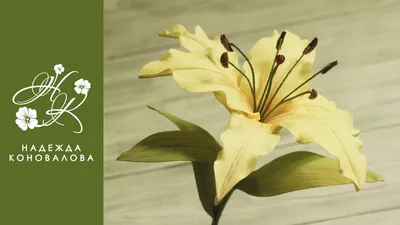 Как сделать красивую лилию из фоамирана - мастер класс - YouTube