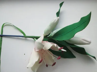 Веточка лилии из фоамирана с бутоном и цветком, пошаговое фото | Цветок,  Цветы, Лилии