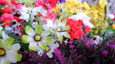 Цветы из фоамирана: мастер-класс для начинающих с пошаговыми фото