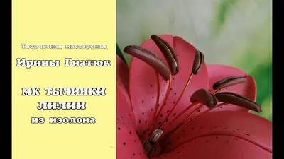 Молд NEW! Лепесток лилии, маленький 11,5 х 5 см - Материалы для творчества.  ИЗОЛОН, ФОАМИРАН, SOFTIN, IXPE-FOAM