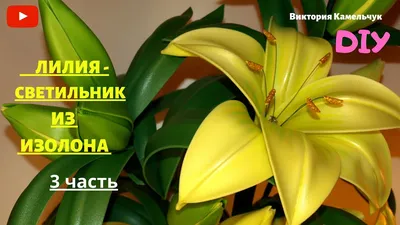 Молд вайнер лист лилии 20х6,5см из изолона и фоамирана - купить с доставкой  по выгодным ценам в интернет-магазине OZON (1196040898)