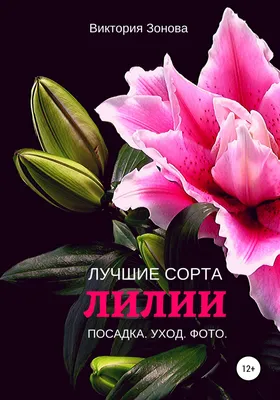 Блог :: Все о лилиях