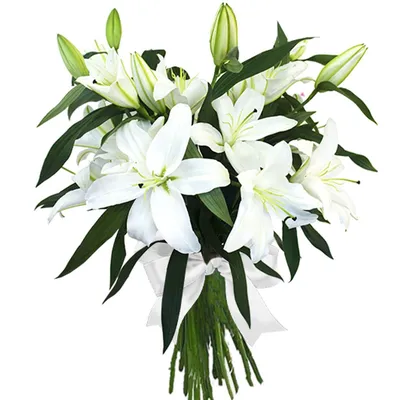 Лилии (3 веточки) - купить по выгодной цене | Цветы Жлобин