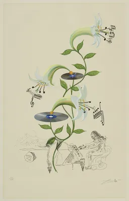 Лилия карликовая - Lilium pumilum Stock Photo | Adobe Stock