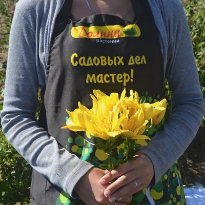 Лилия махровая Фата Моргана (Fata Morganа) - купить луковицы цветов с  доставкой по Украине в магазине Добродар