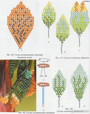 Орхидея из бисера: мастер класс своими руками, пошаговая схема (80+ фото)