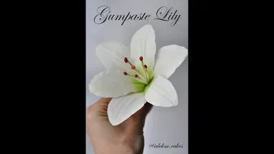 Gumpaste Lily Tutorial.Лилия из мастики. Sugar Flowers. Fondant. - YouTube