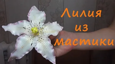 Лилия из мастики (Цветы из сахарной мастики) - YouTube