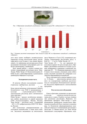 Министерство образования и науки Республики Татарстан