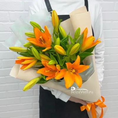 Комнатное растение лилия оранжевая луковицная (ID#1914319566), цена: 100 ₴,  купить на Prom.ua