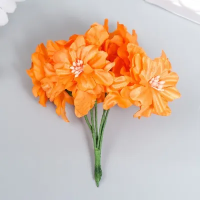 Лилия оранжевая купить в салоне цветов Cats, СПб