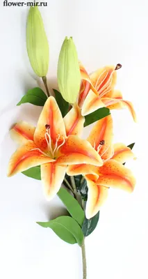 Купить Цветы для декорирования \"Садовая лилия\" оранжевая, 10 см, 2 букета  по 6 цветов по выгодной цене в интернет-магазине OZON.ru (889838910)