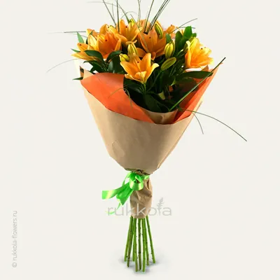 Лилии оранжевого цвета - красивые фото