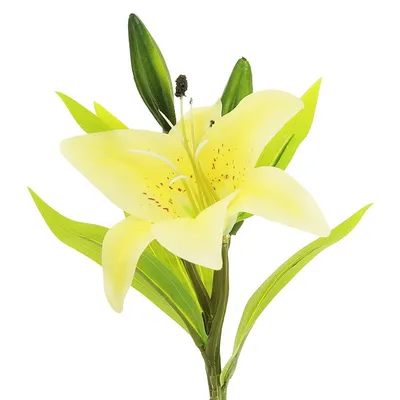 Декоративные цветы Лилия белая h 95 см. ТМ-218 купить оптом в Томске по  цене 328,19 руб.