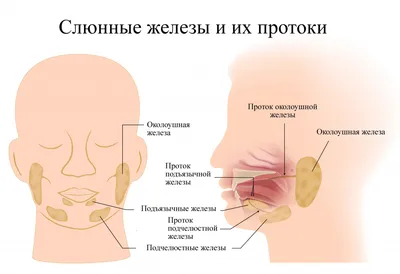 Рак слюнных желез: признаки, симптомы, лечение, прогноз