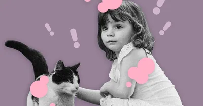 Лишай у ребенка от кошки: Фото с возможностью выбора формата загрузки (PNG, WEBP)