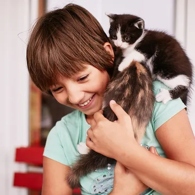 Лишай у ребенка от кошки: Бесплатное скачивание качественных изображений