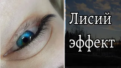 Как создать соблазнительный лисий взгляд с помощью туши и карандаша -  7Дней.ру