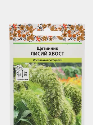 Купить Трава лисий хвост 78см №821, категории Декоративные букеты в  Екатеринбурге