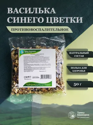 Василек подбеленный \"Steenbergii\" (Штейнберга): купить саженцы в Москве -  Ромашкино Парк