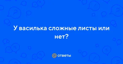 Василисники - растения семейства лютиковых со сказочным названием | Дневник  эколога: про природу, животных, экомероприятия, парки | Дзен