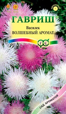 Василек горный (Centaurea montana `Alba`) - Василек горный - Василек -  Многолетники - Каталог - LESKOVO-PITOMNIK.ru