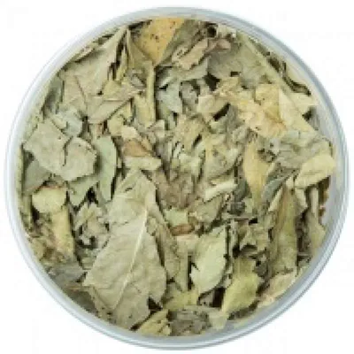 Купить листья карри (curry leaves) East End | Ист Энд 20г, цены на  Мегамаркет | Артикул: 600006729149