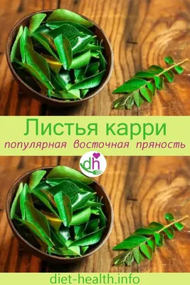 9 Curry Leaf Benefits and Uses