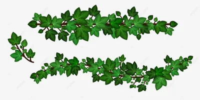 Светлые листья куста - скачать бесплатно текстурные атласы и декали,  Substance PBR материал в высоком разрешении