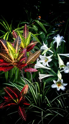 Полезный искусственный цветок, легкий уход, экологически чистые зеленые  листья, имитация цветка лилии, реквизит для фотосъемки | AliExpress