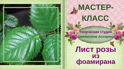 Листья розы на веточке зеленые маленькие (5,5 см х 3,5 см) - Киевская  Мануфактура Мыла