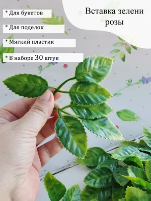 Рисуем листья розы. Полное видео. Часть 1. How to paint a rose leaves. -  YouTube