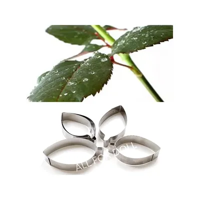 Buy Листья розы градиентные зелено-коричневы | Skrami.com