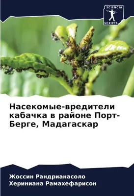 ФАО: Насекомые-вредители ежегодно повреждают около 35 миллионов гектаров  леса - АЗЕРТАДЖ