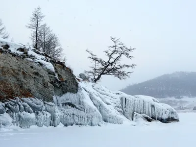 Листвянка. Край Байкала. | Медведи на велосипеде | Дзен