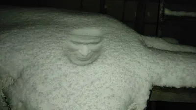 Удивительное Лицо в снегу: зимнее чудо