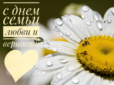 ЖЕНСКИЙ БЛОГ┃ 𝓌𝑜𝓂𝒶𝓃.𝓌𝒾𝒻𝑒_𝓂𝑜𝓂 в Instagram: «❝ Какое это огромное  счастье — любить и быть любимым. ❞ #антончехов ⠀ Просто о любви!… | Holding  hands, Blog
