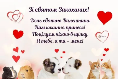 Хочу быть любимой и счастливой - Психологос