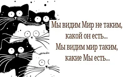 Пока подруги ищут любовь, я ищу смешные картинки - порция юмора с котиками  из моей рукодельной группы | МНЕ ИНТЕРЕСНО - ВТОРАЯ ПОПЫТКА | Дзен