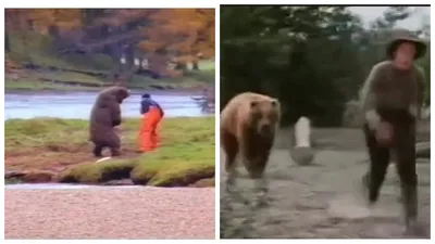 Людей после нападения медведей фотографии