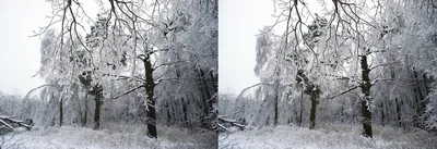 Изображения с ливневым снегом, чтобы подарить волшебство зимы
